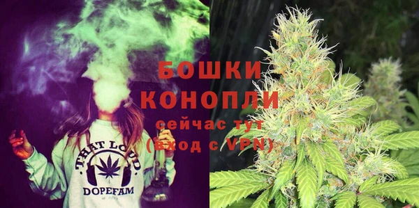 эйфоретик Карпинск