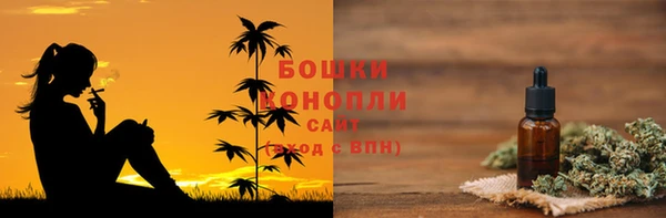 эйфоретик Карпинск