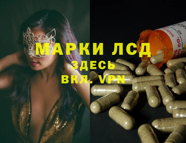 эйфоретик Карпинск