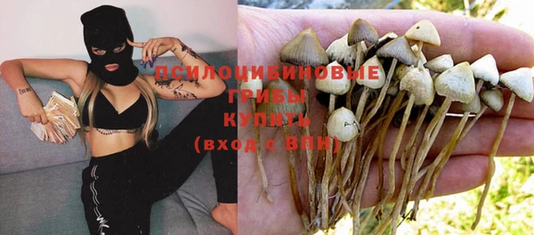 прущая мука Касимов